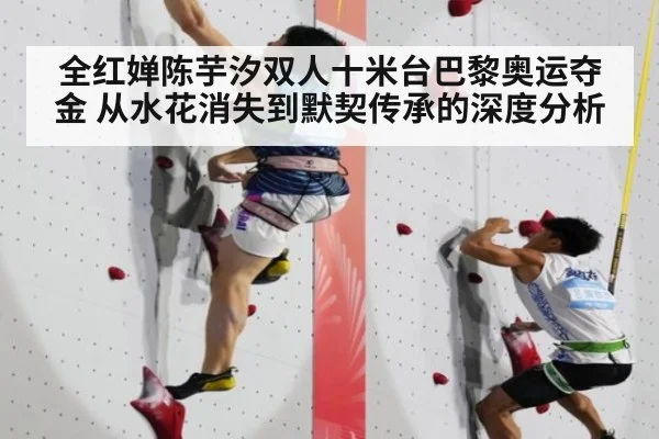 全红婵陈芋汐双人十米台巴黎奥运夺金 从水花消失到默契传承的深度分析