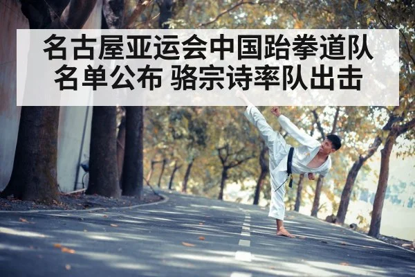 名古屋亚运会中国跆拳道队名单公布 骆宗诗率队出击